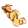 New arrival dehydrated high quality dried apple slice Best price